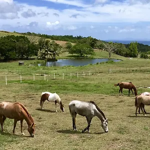 https://la-ferme-des-etangs.comcaribbean.com